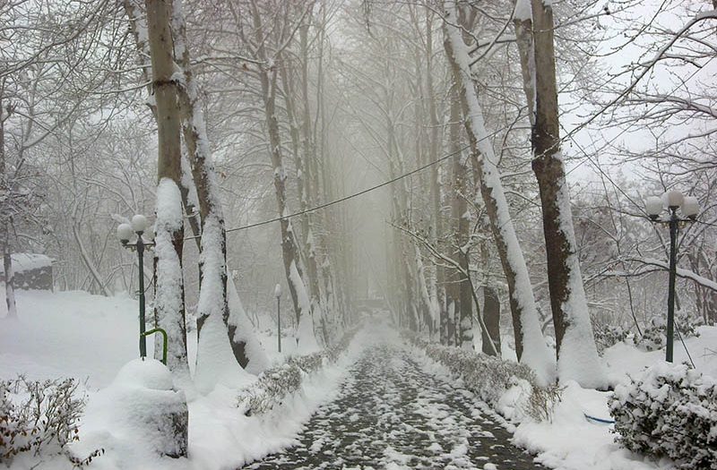 زمستان در پارک جمشیدیه
