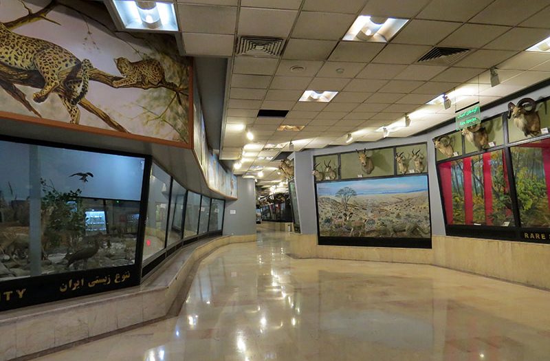 موزه تنوع زیستی تهران