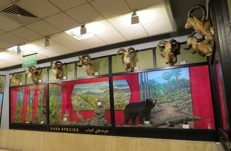 موزه تنوع زیستی در تهران