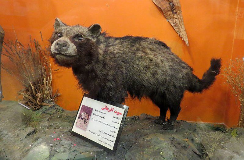 موزه تنوع زیستی در پارک پردیسان