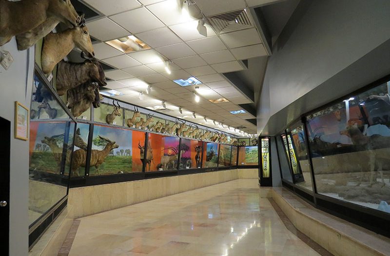 موزه تنوع زیستی پردیسان