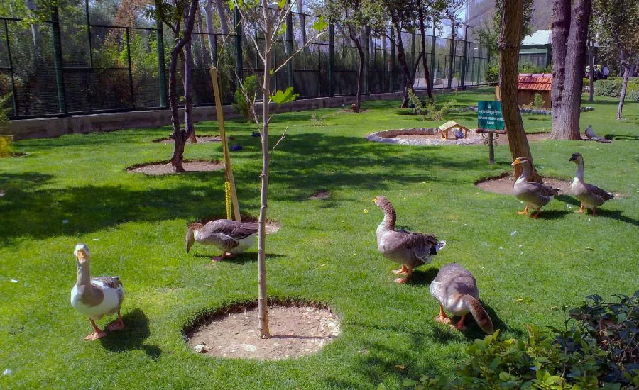 باغ پرندگان کجای اصفهان است