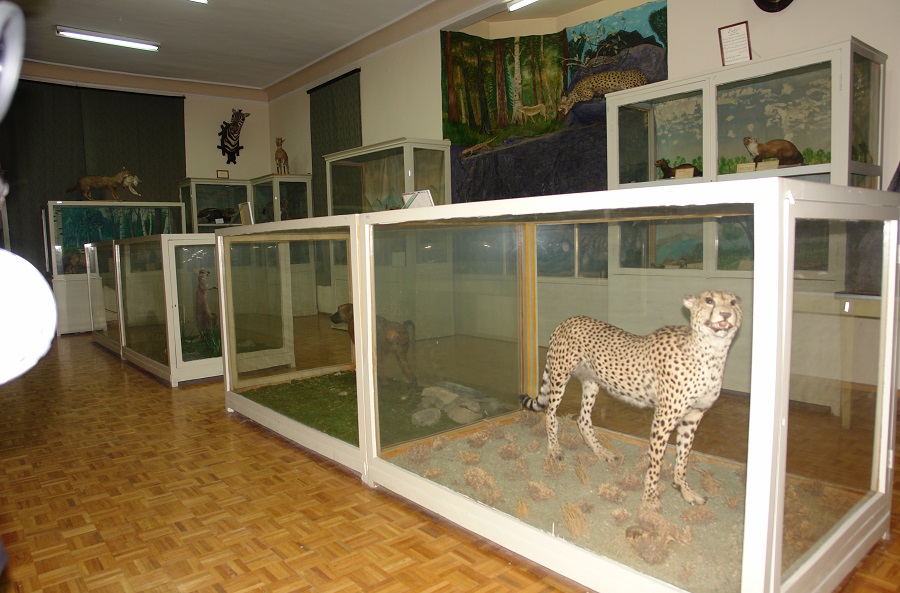 موزه جانورشناسی دانشگاه تهران کرج