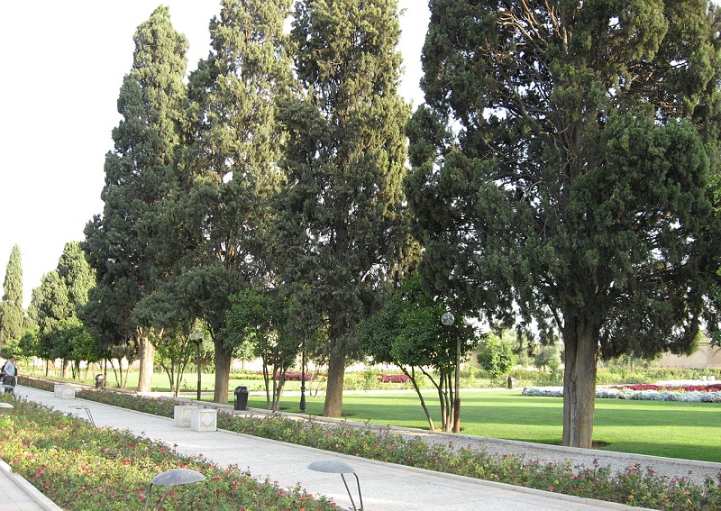 طبیعت باغ جهان‌نما شیراز