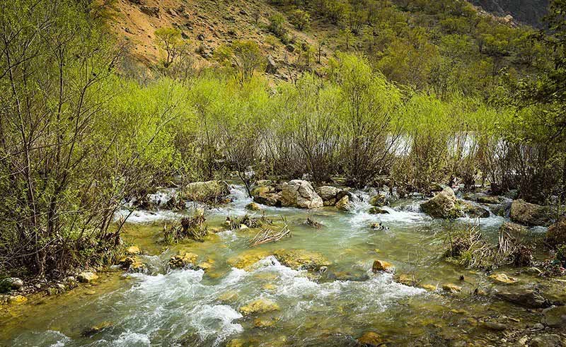 منطقه حفاظت شده تنگ بستانک استان فارس