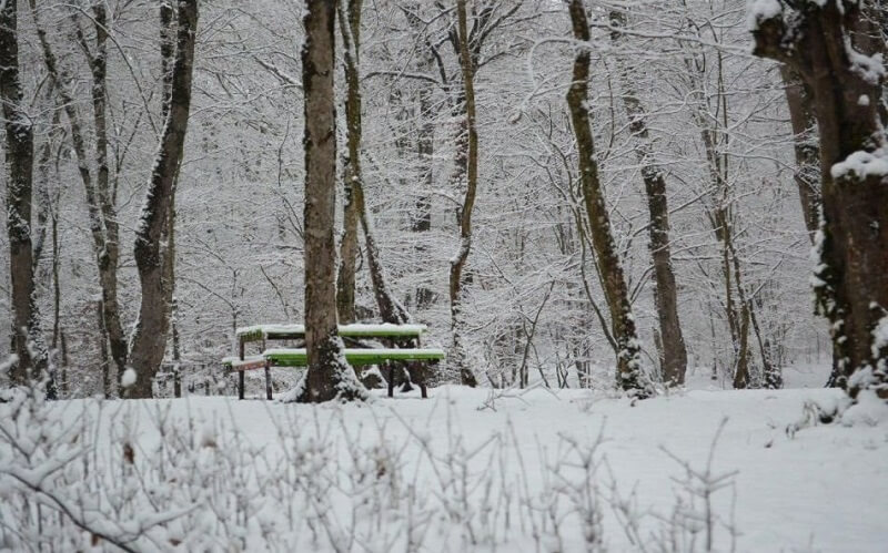 زمستان در پارک جنگلی النگدره