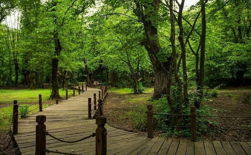 پارک جنگلی در گرگان